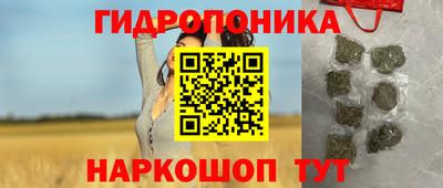 PSILOCYBIN Новозыбков