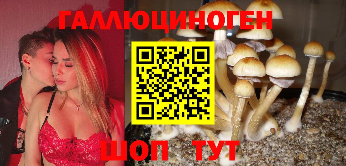 Галлюциногенные грибы ЛСД Славгород