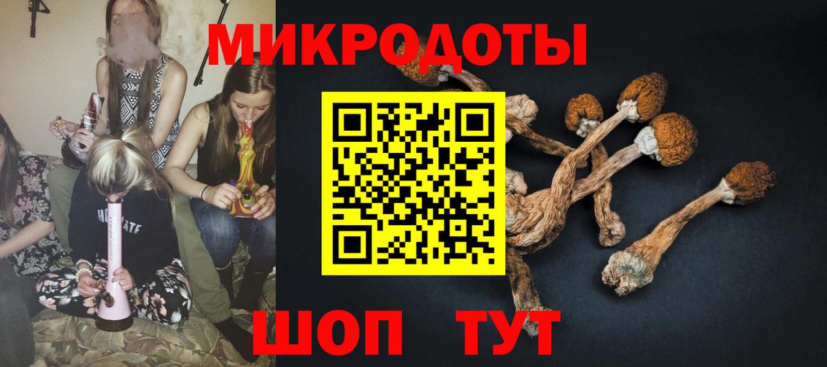 Галлюциногенные грибы мицелий  Вход с VPN  Славгород 